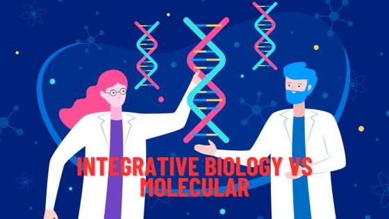 Integrative biology vs molecular