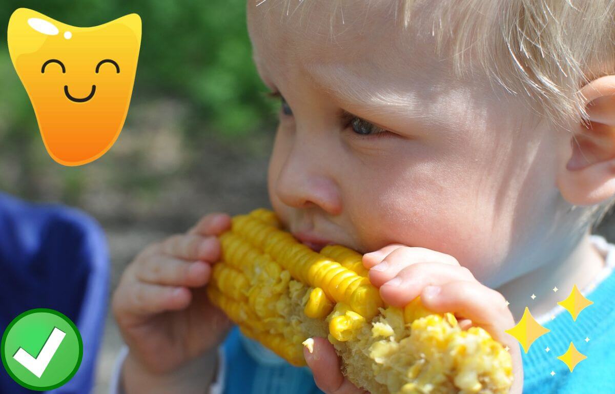 Discover the Health Benefits of Biologic Sweet Corn